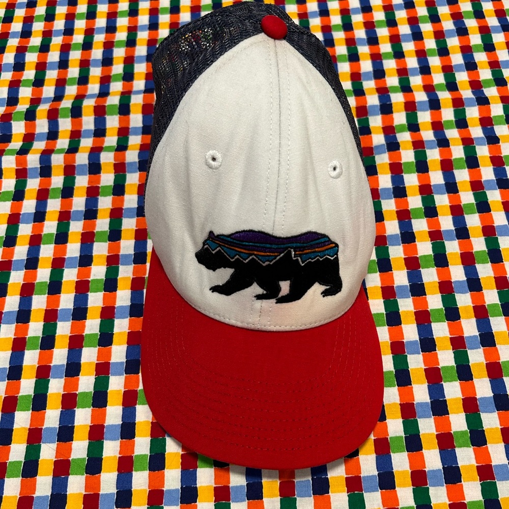 Mens Patagonia trucker cap